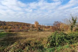 ISTRA, VIŽINADA - Prostrano građevinsko zemljište na osami s panoramskim pogledom, Vižinada, Zemljište