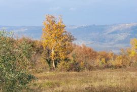 ISTRA, VIŽINADA - Prostrano građevinsko zemljište na osami s panoramskim pogledom, Vižinada, Zemljište