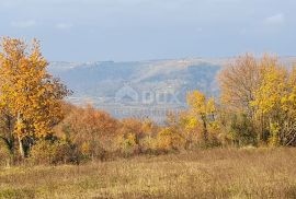 ISTRA, VIŽINADA - Prostrano građevinsko zemljište na osami s panoramskim pogledom, Vižinada, Zemljište