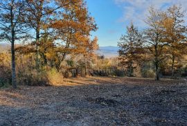 ISTRA, VIŽINADA - Prostrano građevinsko zemljište na osami s panoramskim pogledom, Vižinada, Zemljište