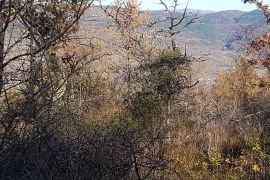 ISTRA, VIŽINADA - Prostrano građevinsko zemljište na osami s panoramskim pogledom, Vižinada, Zemljište