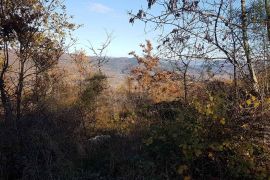 ISTRA, VIŽINADA - Prostrano građevinsko zemljište na osami s panoramskim pogledom, Vižinada, Zemljište