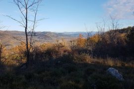 ISTRA, VIŽINADA - Prostrano građevinsko zemljište na osami s panoramskim pogledom, Vižinada, Zemljište