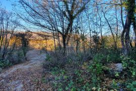 ISTRA, VIŽINADA - Prostrano građevinsko zemljište na osami s panoramskim pogledom, Vižinada, Zemljište