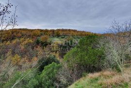 ISTRA, GROŽNJAN - Imanje na uzvisini, savršena lokacija, kompleks zemljišta, kamene kuće, panoramski pogledi sa svih strana - Rijetkost na tržištu!!, Grožnjan, Land