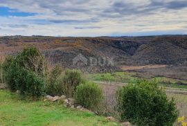 ISTRA, GROŽNJAN - Imanje na uzvisini, savršena lokacija, kompleks zemljišta, kamene kuće, panoramski pogledi sa svih strana - Rijetkost na tržištu!!, Grožnjan, Land