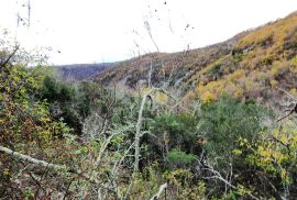 ISTRA, GROŽNJAN - Imanje na uzvisini, savršena lokacija, kompleks zemljišta, kamene kuće, panoramski pogledi sa svih strana - Rijetkost na tržištu!!, Grožnjan, Land