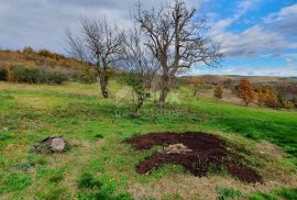 ISTRA, GROŽNJAN - Imanje na uzvisini, savršena lokacija, kompleks zemljišta, kamene kuće, panoramski pogledi sa svih strana - Rijetkost na tržištu!!, Grožnjan, Land