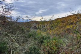 ISTRA, GROŽNJAN - Imanje na uzvisini, savršena lokacija, kompleks zemljišta, kamene kuće, panoramski pogledi sa svih strana - Rijetkost na tržištu!!, Grožnjan, Land