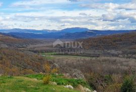 ISTRA, GROŽNJAN - Imanje na uzvisini, savršena lokacija, kompleks zemljišta, kamene kuće, panoramski pogledi sa svih strana - Rijetkost na tržištu!!, Grožnjan, Land