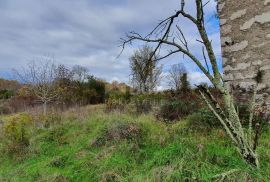 ISTRA, GROŽNJAN - Imanje na uzvisini, savršena lokacija, kompleks zemljišta, kamene kuće, panoramski pogledi sa svih strana - Rijetkost na tržištu!!, Grožnjan, Land