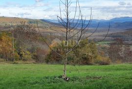 ISTRA, GROŽNJAN - Imanje na uzvisini, savršena lokacija, kompleks zemljišta, kamene kuće, panoramski pogledi sa svih strana - Rijetkost na tržištu!!, Grožnjan, Land