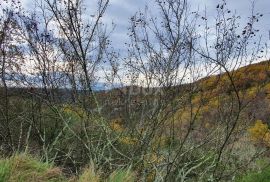 ISTRA, GROŽNJAN - Imanje na uzvisini, savršena lokacija, kompleks zemljišta, kamene kuće, panoramski pogledi sa svih strana - Rijetkost na tržištu!!, Grožnjan, Land