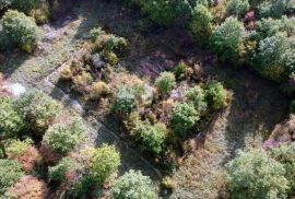 ISTRA - KANFANAR OKOLICA - ZEMLJIŠTE SA ZAPOČETOM GRADNJOM, Kanfanar, Terrain