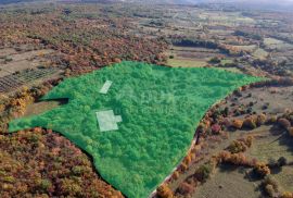 ISTRA - KANFANAR OKOLICA - ZEMLJIŠTE SA ZAPOČETOM GRADNJOM, Kanfanar, Terrain