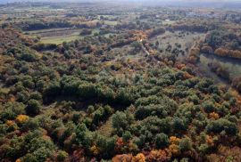 ISTRA - KANFANAR OKOLICA - ZEMLJIŠTE SA ZAPOČETOM GRADNJOM, Kanfanar, Terrain