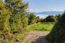 ISTRA, PIĆAN imanje s prekrasnim pogledom i ruševnom kamenom kućom, Pićan, Земля