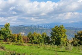 ISTRA, PIĆAN imanje s prekrasnim pogledom i ruševnom kamenom kućom, Pićan, Земля