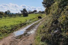 ISTRA, PIĆAN imanje s prekrasnim pogledom i ruševnom kamenom kućom, Pićan, Земля