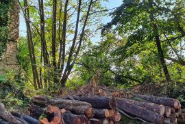 ISTRA, PIĆAN imanje s prekrasnim pogledom i ruševnom kamenom kućom, Pićan, Земля