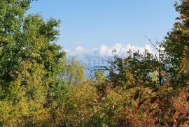 ISTRA, PIĆAN imanje s prekrasnim pogledom i ruševnom kamenom kućom, Pićan, Земля