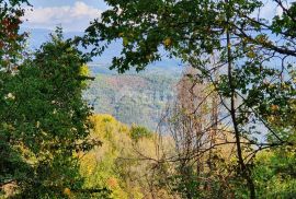 ISTRA, PIĆAN imanje s prekrasnim pogledom i ruševnom kamenom kućom, Pićan, Земля