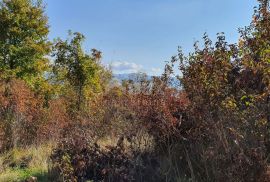 ISTRA, PIĆAN imanje s prekrasnim pogledom i ruševnom kamenom kućom, Pićan, Земля