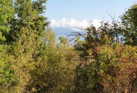 ISTRA, PIĆAN imanje s prekrasnim pogledom i ruševnom kamenom kućom, Pićan, Земля