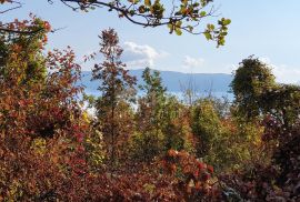 ISTRA, PIĆAN imanje s prekrasnim pogledom i ruševnom kamenom kućom, Pićan, Земля