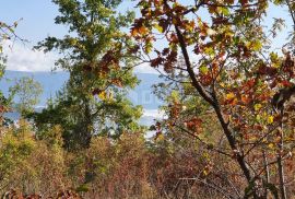 ISTRA, PIĆAN imanje s prekrasnim pogledom i ruševnom kamenom kućom, Pićan, Земля