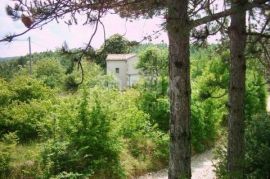 ISTRA, HUM - imanje sa 8,4 ha zemljišta, Buzet, بيت