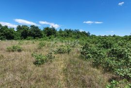 ISTRA, SVETVINČENAT - Zemljište sa započetom gradnjom gospodarskog i stambenog objekta, Svetvinčenat, Terrain