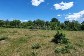 ISTRA, SVETVINČENAT - Zemljište sa započetom gradnjom gospodarskog i stambenog objekta, Svetvinčenat, Terrain