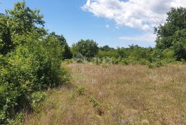 ISTRA, SVETVINČENAT - Zemljište sa započetom gradnjom gospodarskog i stambenog objekta, Svetvinčenat, Terrain