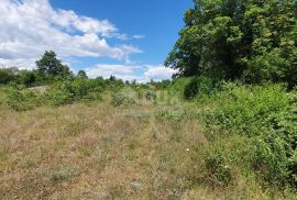 ISTRA, SVETVINČENAT - Zemljište sa započetom gradnjom gospodarskog i stambenog objekta, Svetvinčenat, Terrain