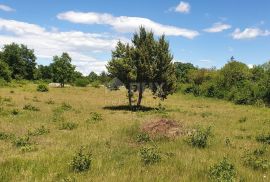 ISTRA, SVETVINČENAT - Zemljište sa započetom gradnjom gospodarskog i stambenog objekta, Svetvinčenat, Terrain