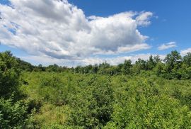 ISTRA, SVETVINČENAT - Zemljište sa započetom gradnjom gospodarskog i stambenog objekta, Svetvinčenat, Terrain