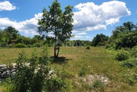 ISTRA, SVETVINČENAT - Zemljište sa započetom gradnjom gospodarskog i stambenog objekta, Svetvinčenat, Terrain