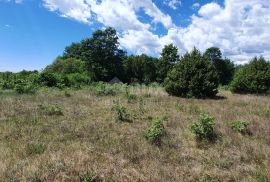 ISTRA, SVETVINČENAT - Zemljište sa započetom gradnjom gospodarskog i stambenog objekta, Svetvinčenat, Terrain