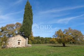 ISTRA, ŽMINJ - Građevinsko zemljište sa kamenom kućicom, Žminj, Terrain