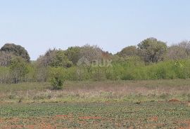 ISTRA, ŠTINJAN - Građevinsko zemljište 1.200 m od mora, Pula, Terrain