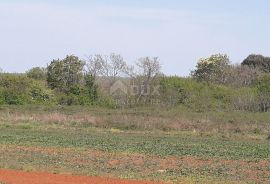 ISTRA, ŠTINJAN - Građevinsko zemljište 1.200 m od mora, Pula, Terrain