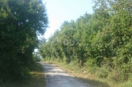 ISTRA - RIPENDA Poljoprivredno zemljište 56000m2, Labin, Terra