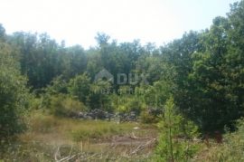 ISTRA - RIPENDA Poljoprivredno zemljište 56000m2, Labin, Terra