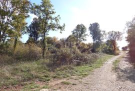 MARČANA - RAKALJ - građevinski teren 5205m2 sa pogledom na more za obiteljsku kuću / villu / apartmane / kuću za iznajmljivanje sa bazenom / kuću za odmor sa bazenom, Marčana, Arazi