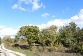 MARČANA - RAKALJ - građevinski teren 5205m2 sa pogledom na more za obiteljsku kuću / villu / apartmane / kuću za iznajmljivanje sa bazenom / kuću za odmor sa bazenom, Marčana, Arazi