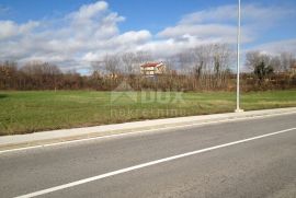 BARBAN građevinsko zemljište 5000m2 za poslovno-stambenu zgradu, Barban, Terreno