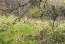 Bribir - građevinsko zemljište, Vinodolska Općina, Terra