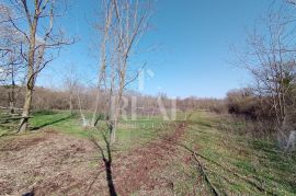 Manjadvorci građevinsko zemljište 970m2 ,pristupni put !, Barban, Land