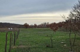 POREČ, ISTRA - Veliko poljoprivredno zemljište, Poreč, Γη